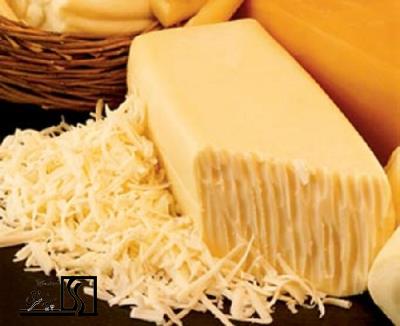 پروسه تولید پنیر موزارلا